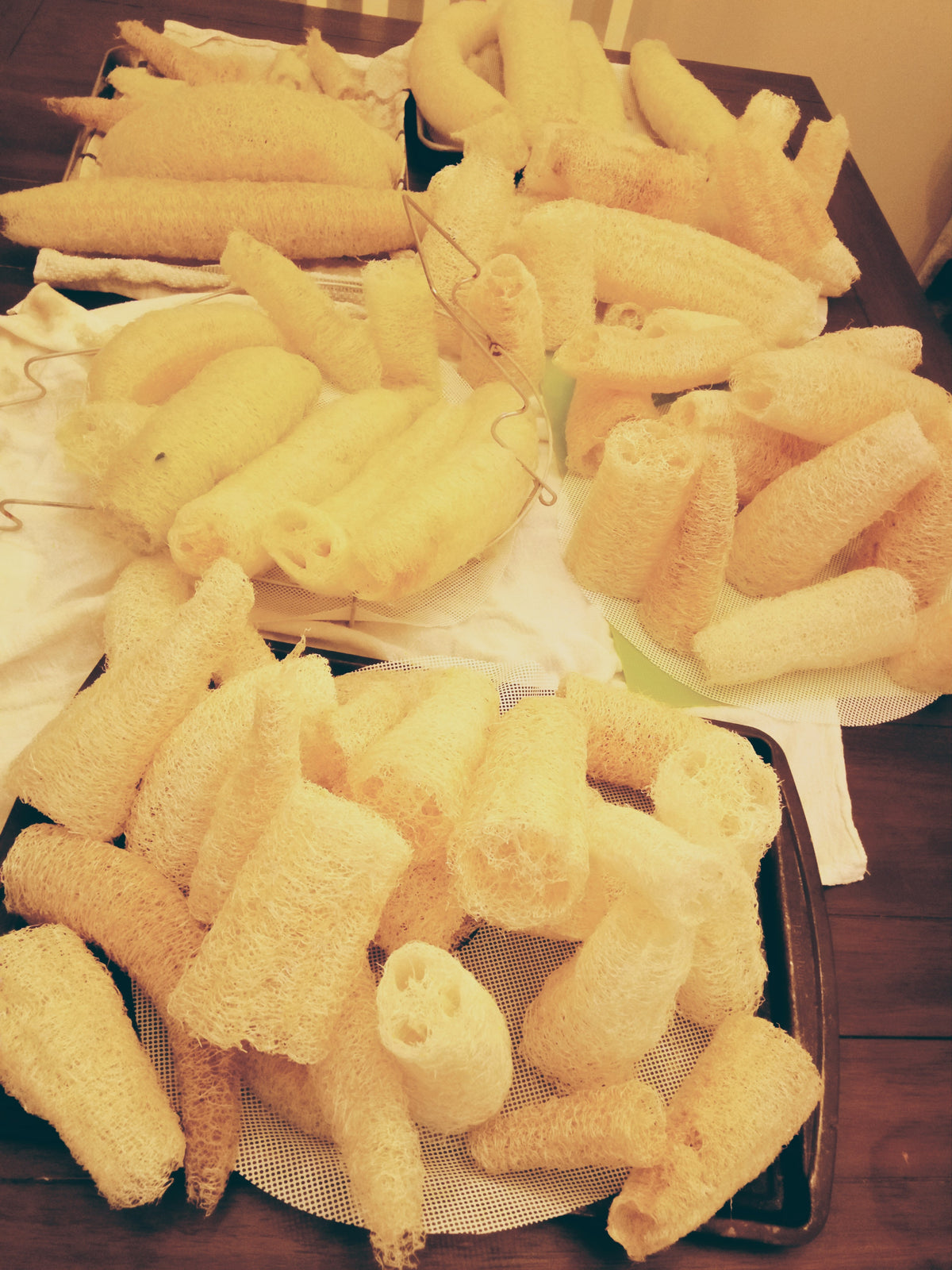Natural Luffa Sponge