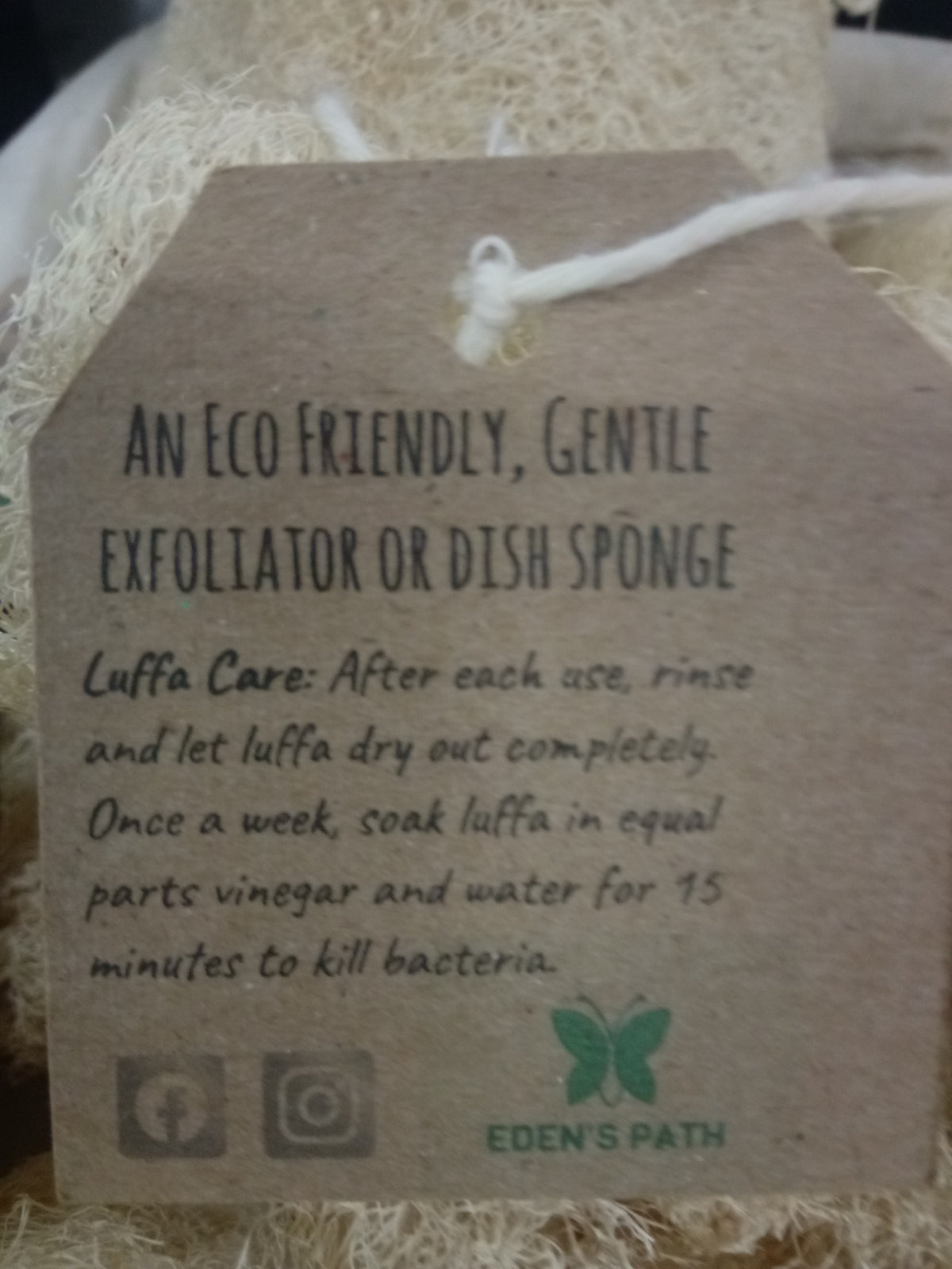 Natural Luffa Sponge