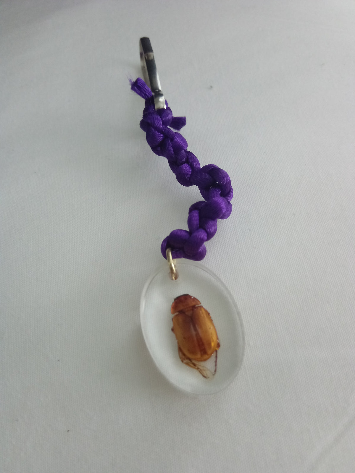 Preserved insect resin pendants