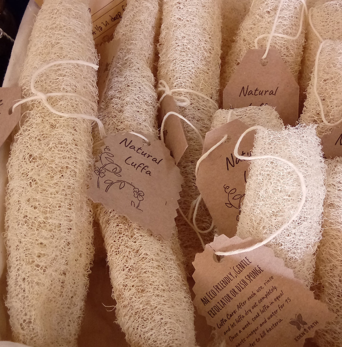 Natural Luffa Sponge