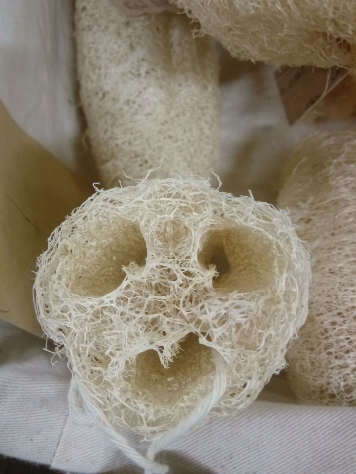 Natural Luffa Sponge