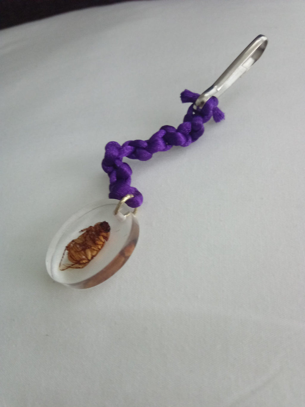 Preserved insect resin pendants