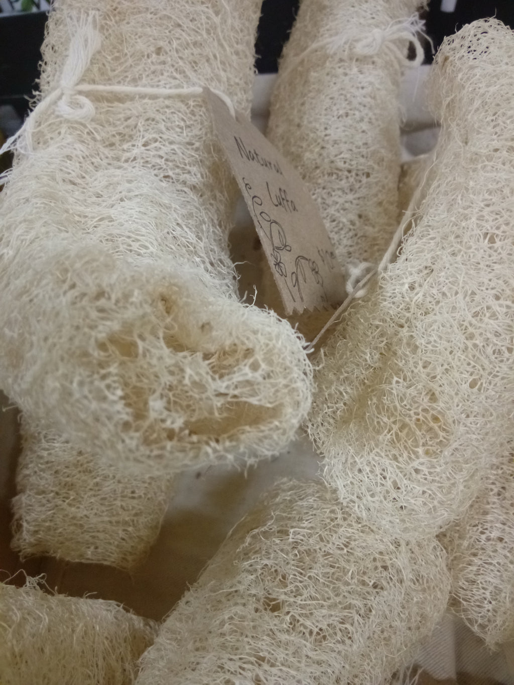 Natural Luffa Sponge