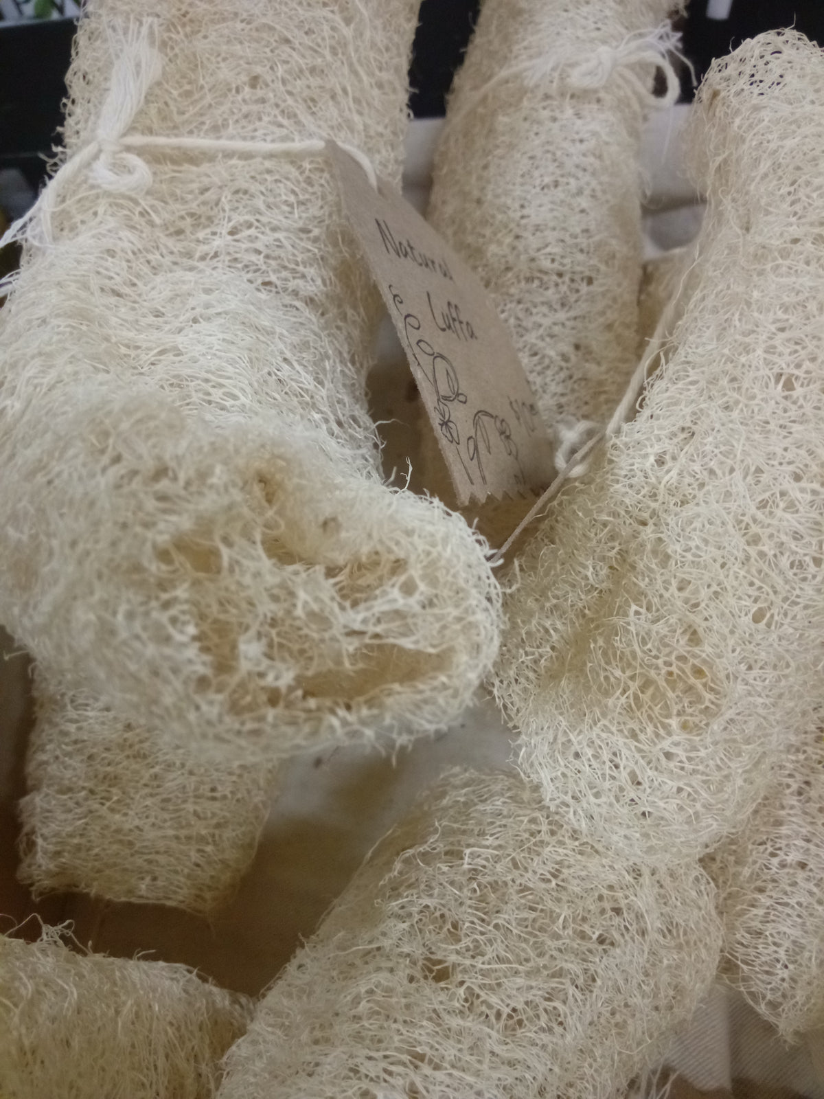 Natural Luffa Sponge